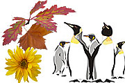 Herbst - Winter