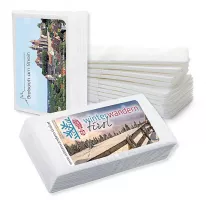 Papier-Taschentücher classic oder mini