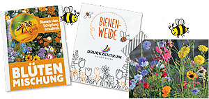 Bienenblumen-Saatmix