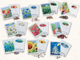 Wildblumensamen "COUNTRY GARDEN"
